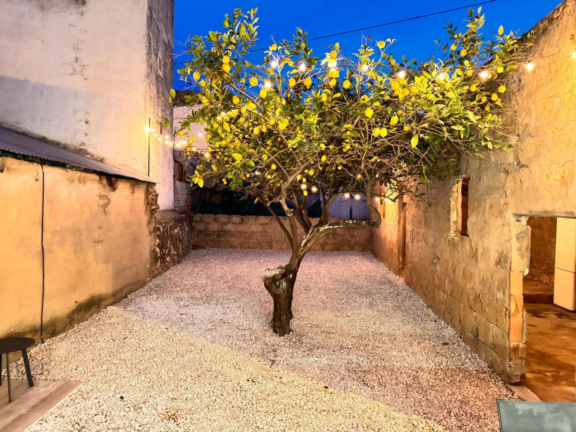 Dmg Javea Apartment Exterior photo